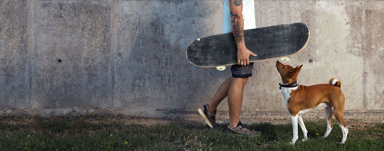 How to Train a Puppy to Stop Barking at Skateboarders How to Train a Puppy to Stop Barking at Skateboarders